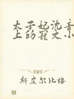 太子妃沈音和皇上的宠文小说