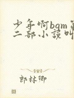少年啊bgm第二部小说叫什么