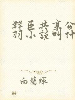 群臣共享公主银羽小说叫什么