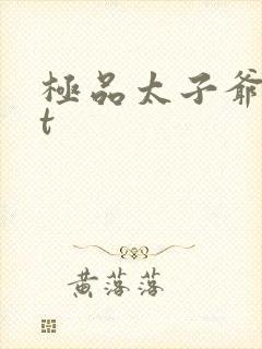 极品太子爷txt封面