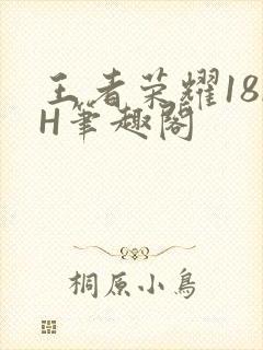 王者荣耀18rH笔趣阁