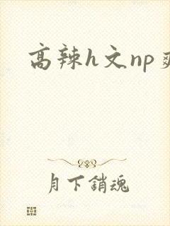 高辣h文np爽