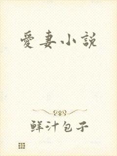 爱妻小说
