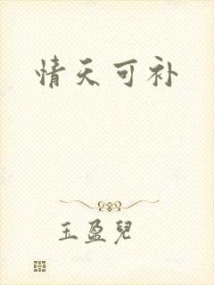 情天可补