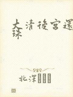 大清后宫还君明珠