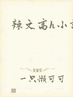 辣文高h小说封面