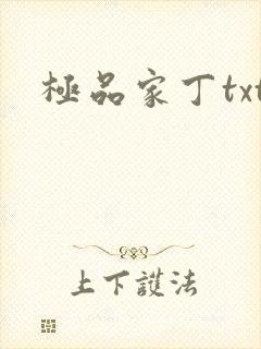 极品家丁txt