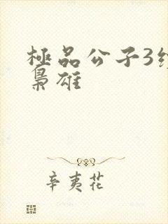 极品公子3续世枭雄