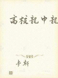 高校龙中龙
