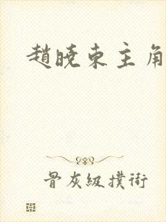 赵晓东主角小说