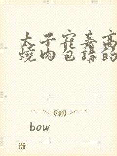 太子宠妾高肉红烧肉包讲的什么