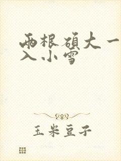 两根硕大一起挤入小雪