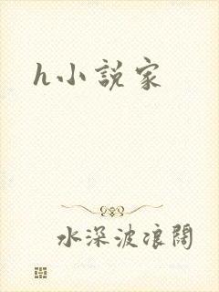 h小说家