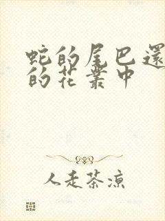 蛇的尾巴还在我的花丛中