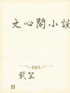 文心阁小说