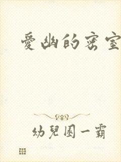 爱幽的密室小说