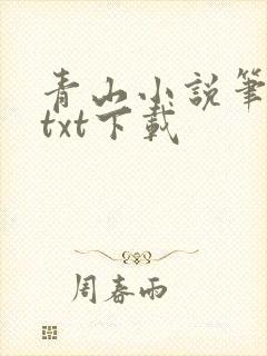 青山小说笔趣阁txt下载