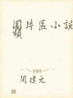 图片区小说区视频