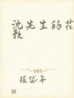 沈先生的花式调教