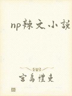 np辣文小说