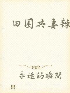 田园共妻辣