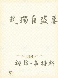 我独自盗墓