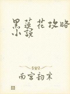 黑莲花攻略手册小说