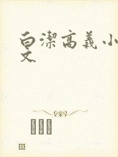 白洁高义小说全文