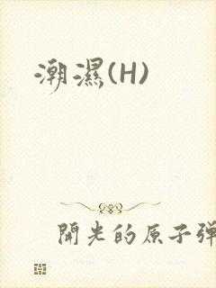 潮湿(H)