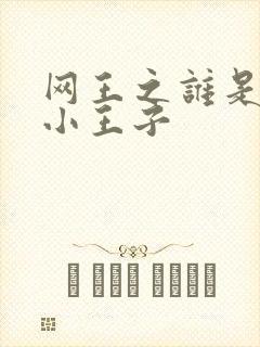 网王之谁是我的小王子