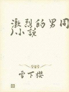 激烈的男同(h)小说