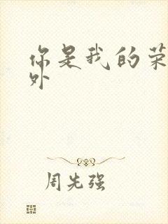 你是我的荣耀番外