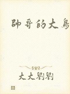 帅哥的大鸟