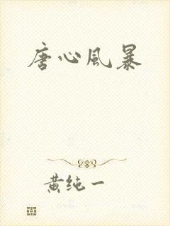 唐心风暴