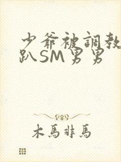 少爷被调教室跪趴SM男男封面