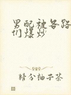 男配被各路大佬们爆炒