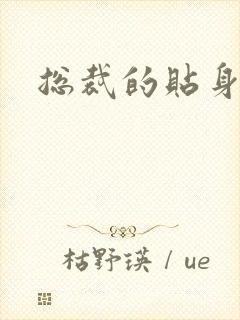 总裁的贴身女佣