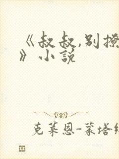 《叔叔,别撩我》小说