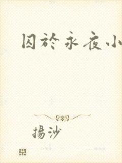 囚于永夜小说