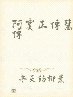 阿宾正传慧钰外传