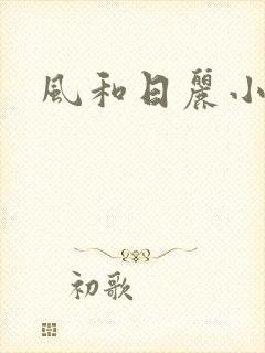 风和日丽小说