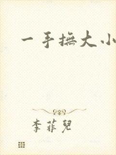 一手抚大小说