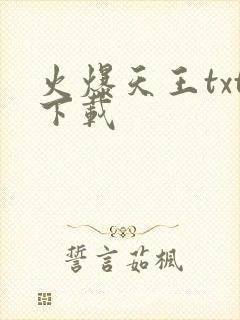 火爆天王txt下载
