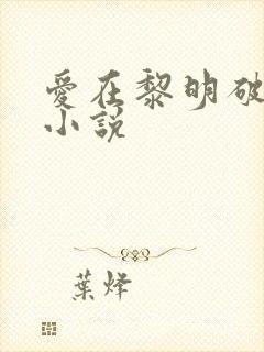 爱在黎明破晓前小说封面