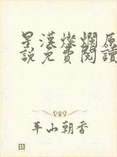 星汉灿烂原著小说免费阅读