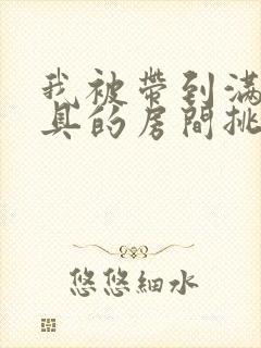 我被带到满是玩具的房间挑调作文