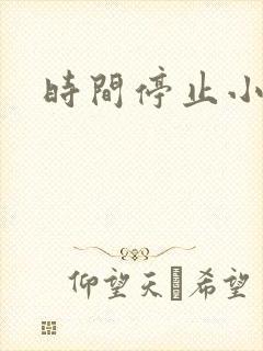 时间停止小说