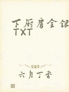 下厨房金银花露 TXT封面