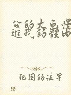 公的大龟慢慢挺进我的体内视频