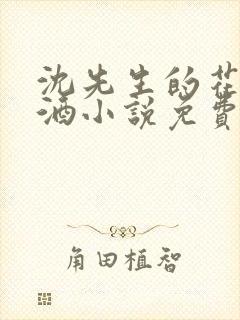 沈先生的花式调酒小说免费阅读